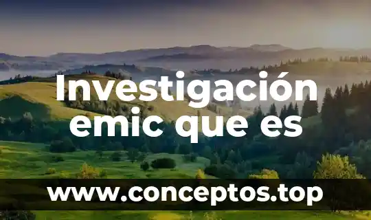 Que es el nivel de investigacion basico 3 Investigación emic que es