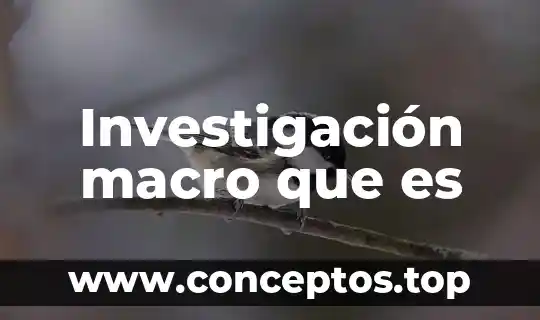 Investigación macro que es