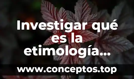 Que es la quimica etimologia 3 Investigar qué es la etimología grecolatina
