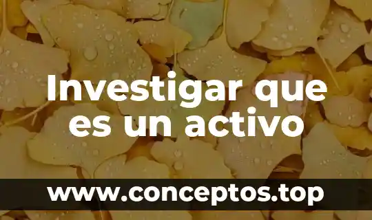 Investigar que es un activo