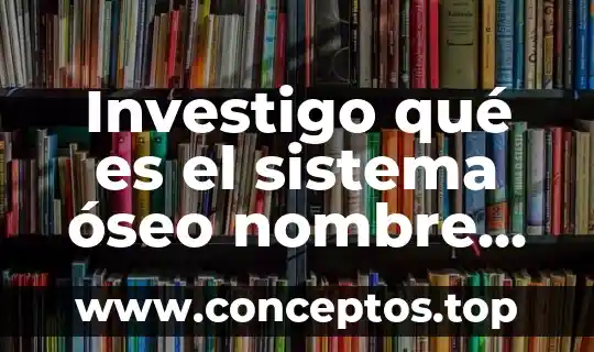 Sistema hand held que es 3 Investigo qué es el sistema óseo nombre de huesos