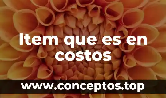 Item que es en costos