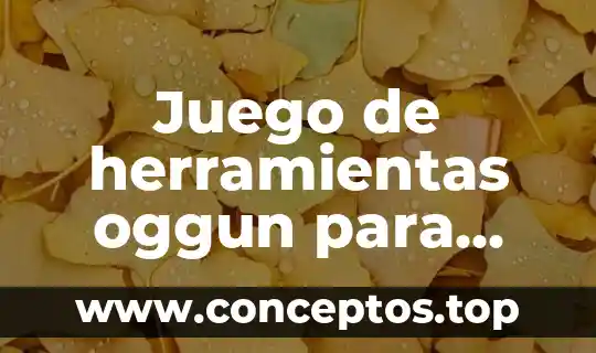 Juego de herramientas oggun para que es