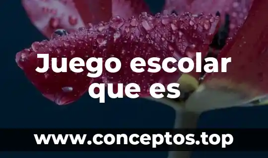 Juego escolar que es
