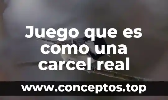 Juego que es como una carcel real