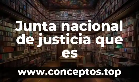 Junta nacional de justicia que es