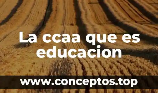 Que es la licenciatura en educacion preescolar 6 La ccaa que es educacion