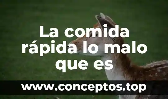 La comida rápida lo malo que es