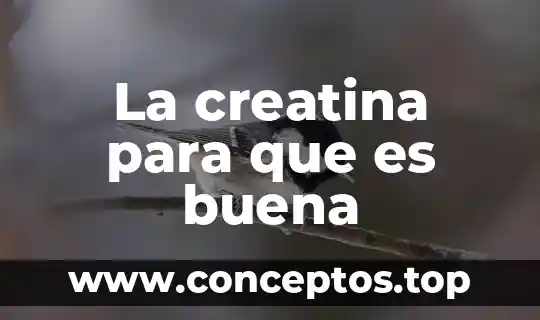 La creatina para que es buena