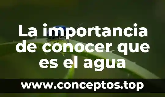 La importancia de conocer que es el agua