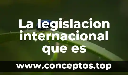 Que es la cruz verde internacional 7 La legislacion internacional que es