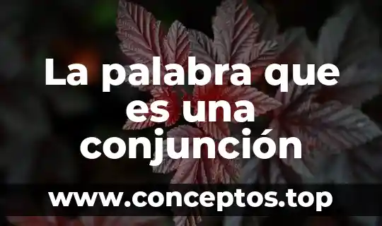 Que es palabra se torna de color 3 La palabra que es una conjunción