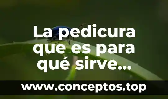 Genealogía que es y para que sirve 4 La pedicura que es para qué sirve beneficios