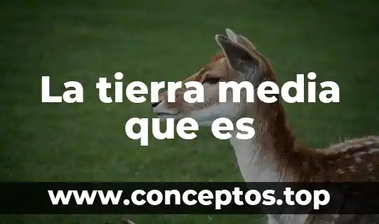 La tierra media que es