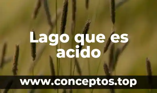 Qué es ácido succínico en enología 4 Lago que es acido