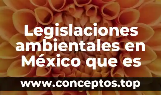 Legislaciones ambientales en México que es