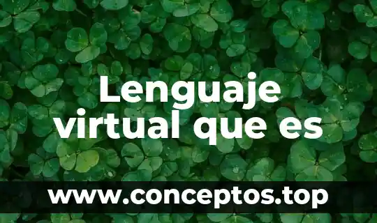 Lenguaje virtual que es