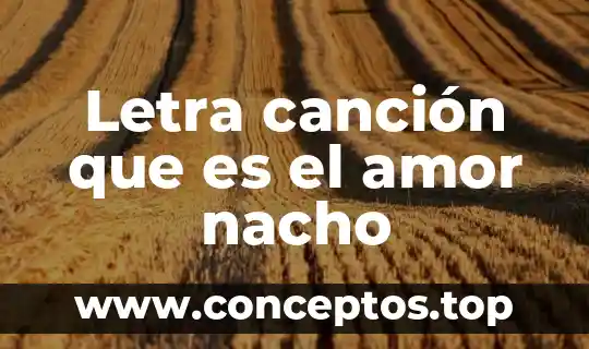 No dire que es amor letra latino 3 Letra canción que es el amor nacho