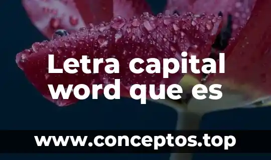 Letra capital word que es