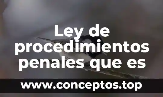 Ley de procedimientos penales que es