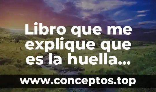 Que es un significado digital 8 Libro que me explique que es la huella digital