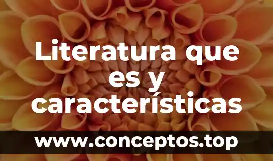 Literatura que es y características