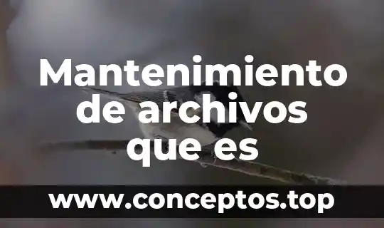 Qué es pintura prehispánica características 4 Mantenimiento de archivos que es