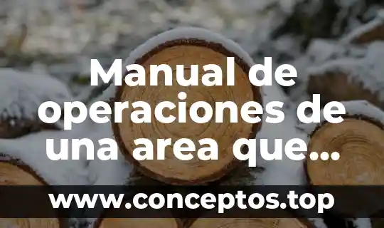 Manual de operaciones de una area que es