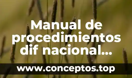 Manual de procedimientos dif nacional que es