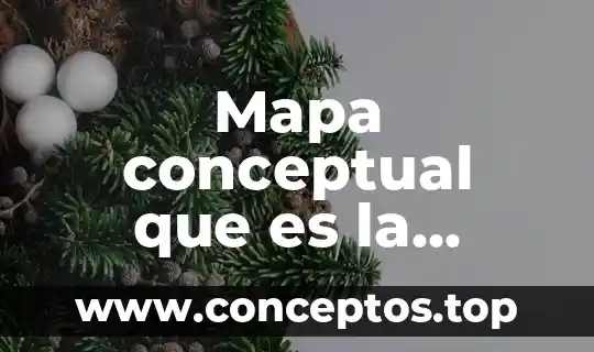 Que es un mapa conceptual guia 5 Mapa conceptual que es la bioética