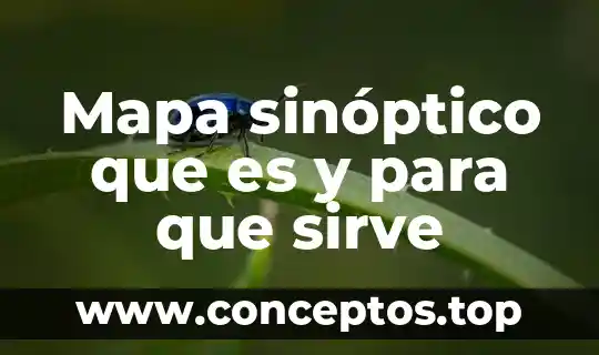 Mapa sinóptico que es y para que sirve