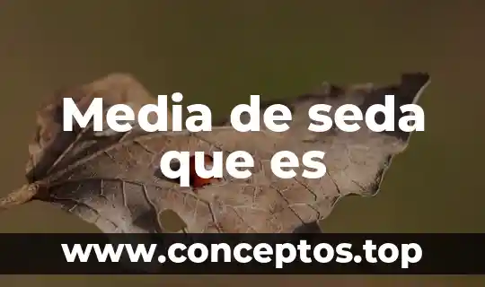 Media de seda que es