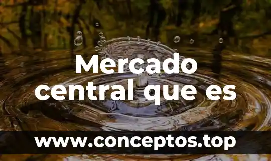 Mercado central que es