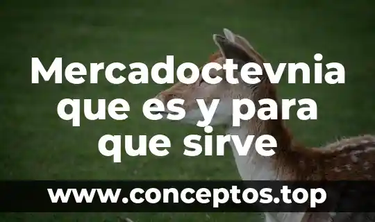 Mercadoctevnia que es y para que sirve