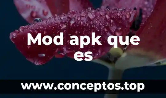 Mod apk que es