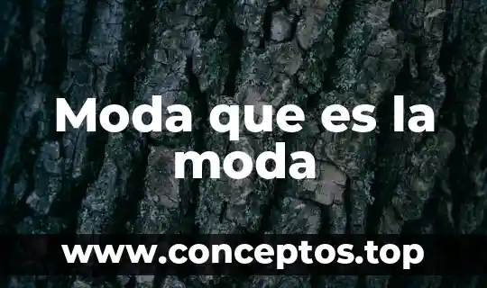 Moda que es la moda