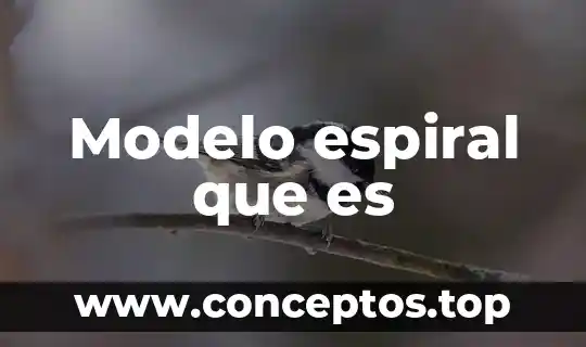Modelo espiral que es