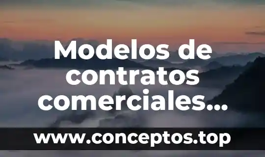 Que es registro de operaciones comerciales 3 Modelos de contratos comerciales que es