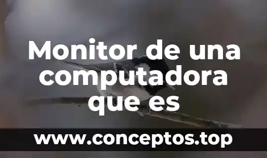 Que es lo que significa entrada-proceso-salida en una computadora 7 Monitor de una computadora que es