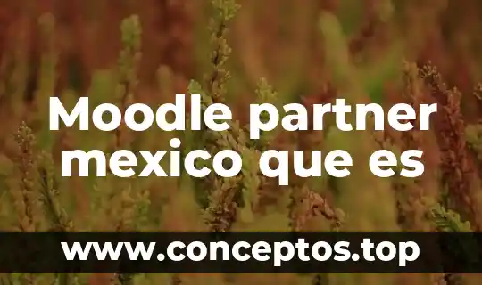 Moodle partner mexico que es
