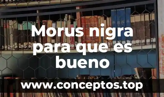 Morus nigra para que es bueno