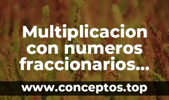Multiplicacion con numeros fraccionarios que es