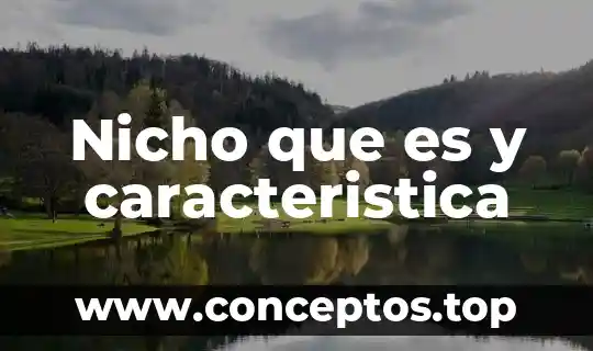 Que es una característica de una persona 7 Nicho que es y caracteristica