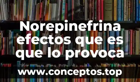 Norepinefrina efectos que es que lo provoca