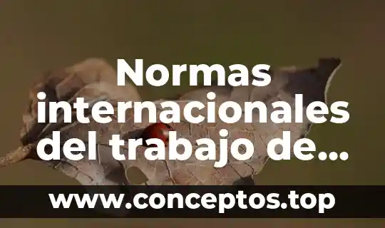 Qué es un espacio de trabajo de color 7 Normas internacionales del trabajo de la que es parte México