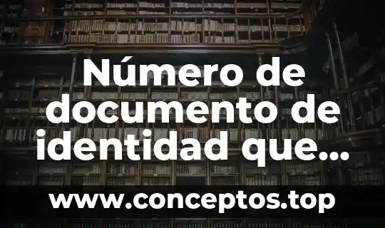 Número de documento de identidad que es México