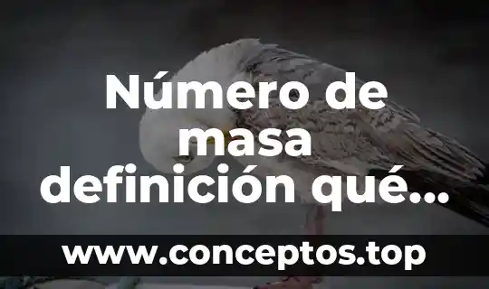 Número de masa definición qué es