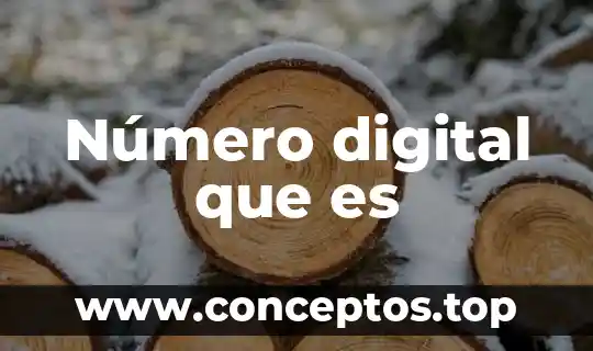 Número digital que es