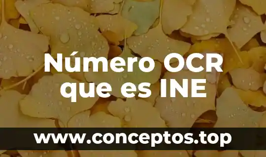 Número OCR que es INE
