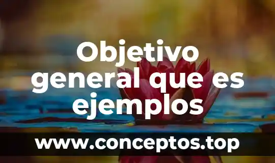 Objetivo general que es ejemplos
